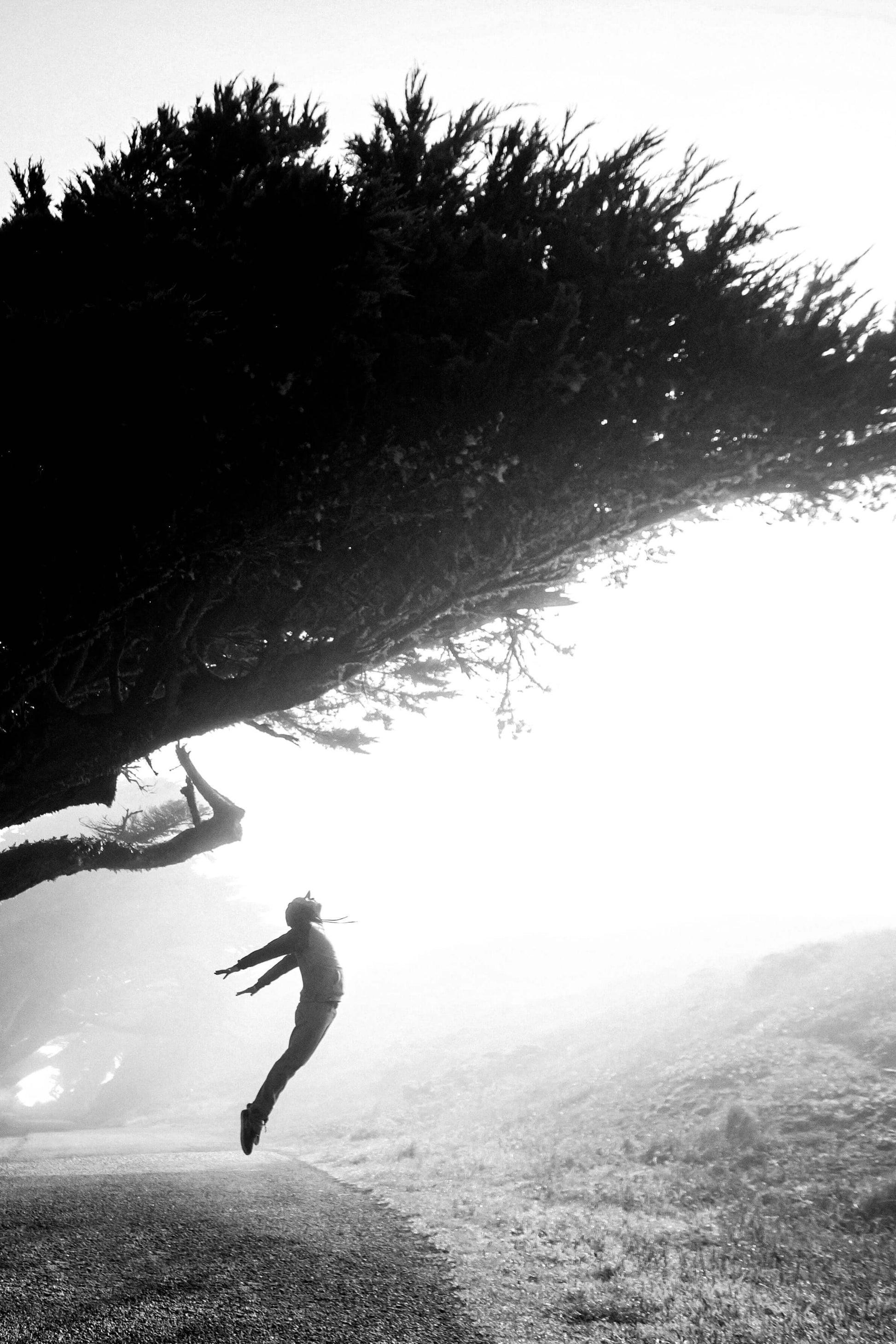 VITAMINS + ESSENTIALS | IVUSE