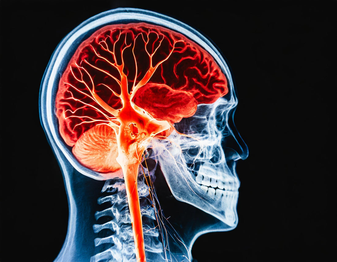IVUSE’s B Complex Injection: The Secret to Enhanced Nervous System Function